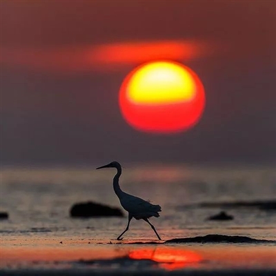 最美的阳光头像 阳光大气微信头像图片