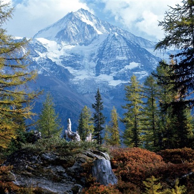 最美的阳光头像 阳光大气微信头像图片