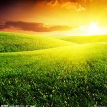 最美的阳光头像 阳光大气微信头像图片