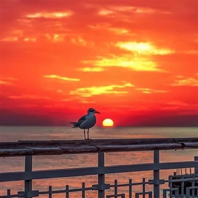 最美的阳光头像 阳光大气微信头像图片