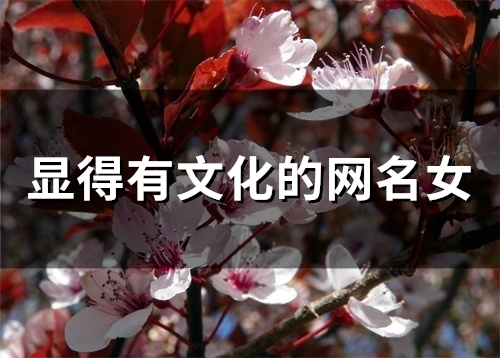 显得有文化的网名女(117个)