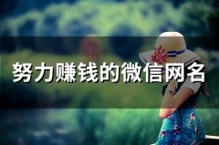 努力赚钱的微信网名(113个)
