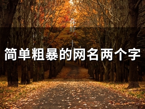 简单粗暴的网名两个字(精选97个)