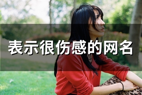 表示很伤感的网名(80个)
