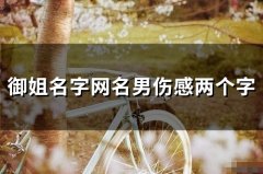御姐名字网名男伤感两个字(107个)