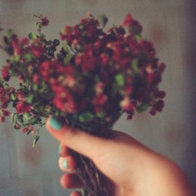 带来好运的微信头像花 微信图片花朵吉祥好运