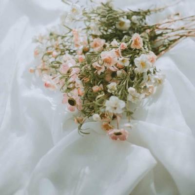 带来好运的微信头像花 微信图片花朵吉祥好运