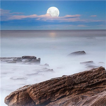 寓意好运微信头像图片 吉祥招财的微信头像图片