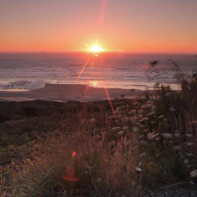 寓意好运微信头像图片 吉祥招财的微信头像图片