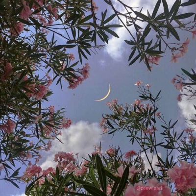 能带来好运的快手头像(精选16张)