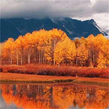 高分好运头像(16张)