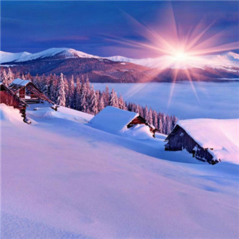 高分好运头像(16张)