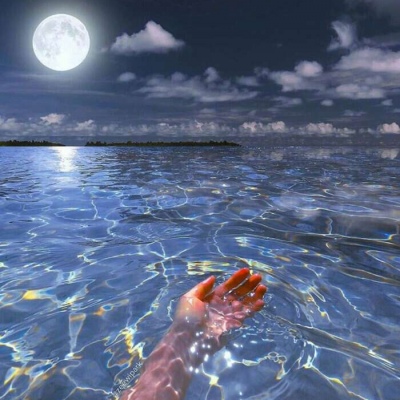 最佳头像图片带来好运(精选16张)