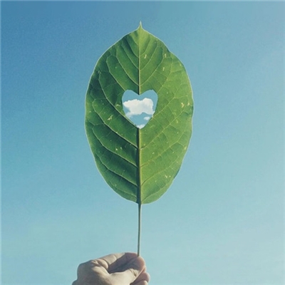 最佳头像图片带来好运(精选16张)