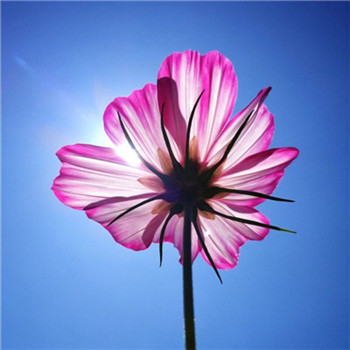 好运满满微信头像(16张)