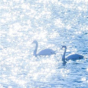 好运满满微信头像(16张)