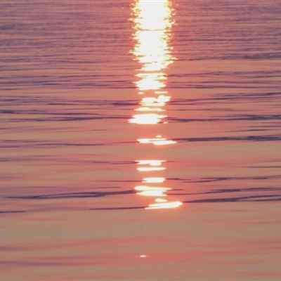 适合做头像的精美图片风景(精选16张)