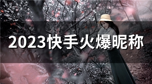 2023快手火爆昵称(107个)