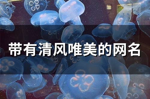 带有清风唯美的网名(精选77个)