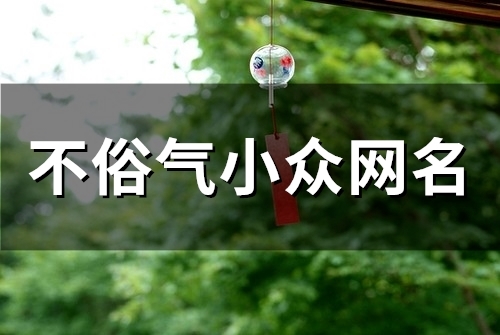 不俗气小众网名(精选115个)