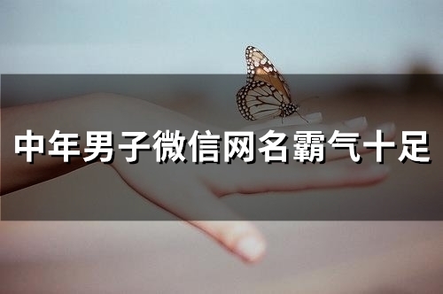 中年男子微信网名霸气十足(精选110个)