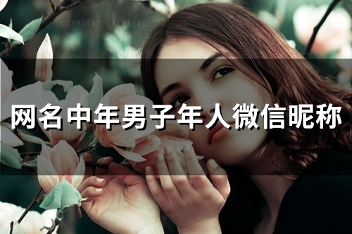 网名中年男子年人微信昵称(144个)