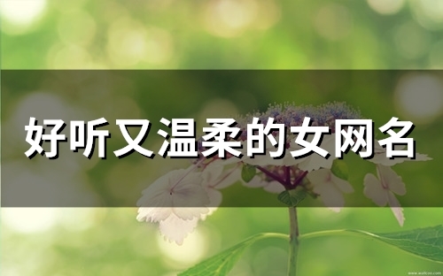 好听又温柔的女网名(100个) 好听又温柔的女网名(100个)
