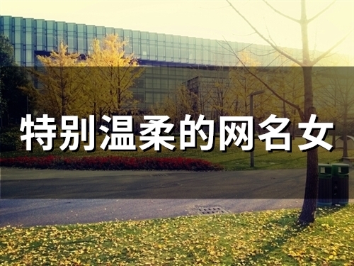 特别温柔的网名女(精选115个)