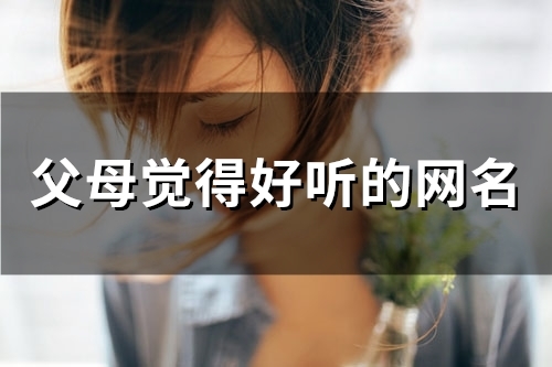 父母觉得好听的网名(精选83个)