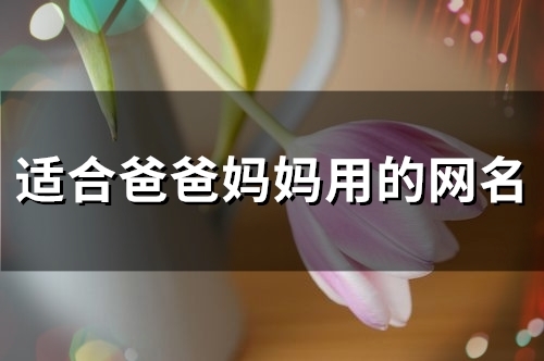 适合爸爸妈妈用的网名(101个)