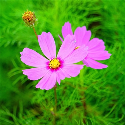 最火最好看的头像(16张)