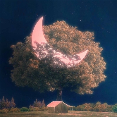 提升运气的微信头像图片(16张)