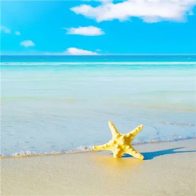 提升运气的微信头像图片(16张)