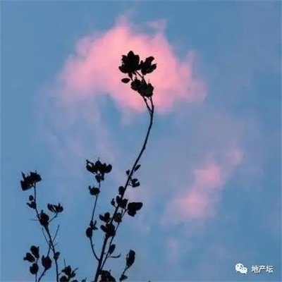 提升运气的微信头像图片(16张)