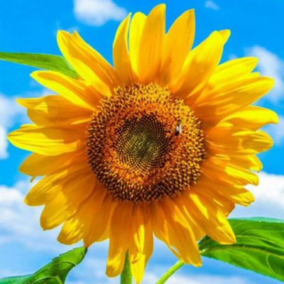 最美妈妈头像图片大全(精选14张)