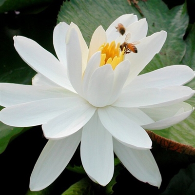 最美妈妈头像图片大全(精选14张)