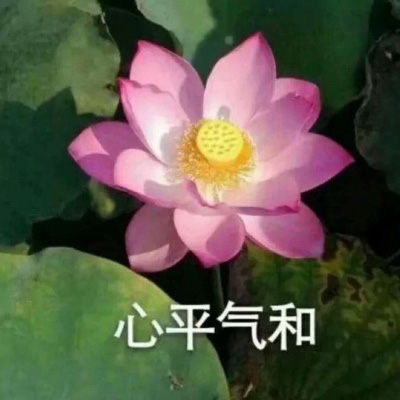最美妈妈头像图片大全(精选14张)