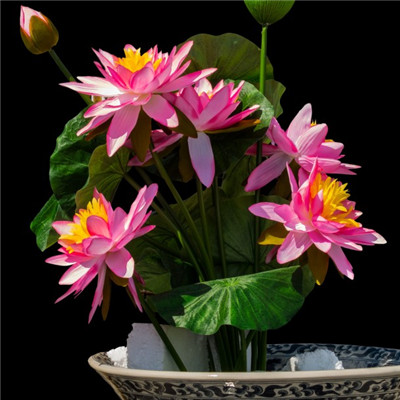 妈妈最喜欢的头像图片(精选16张)