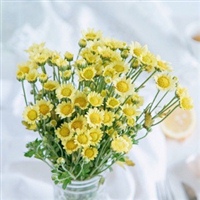 70后妈妈微信头像(16张)