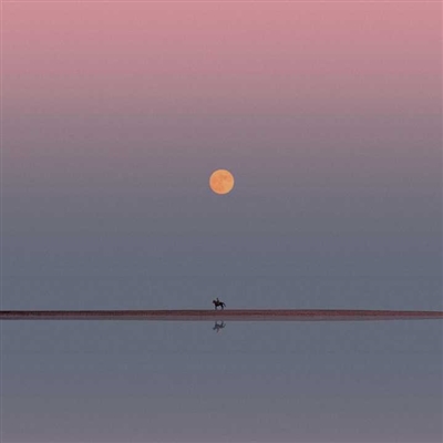 好看的头像图片幼稚(精选16张)