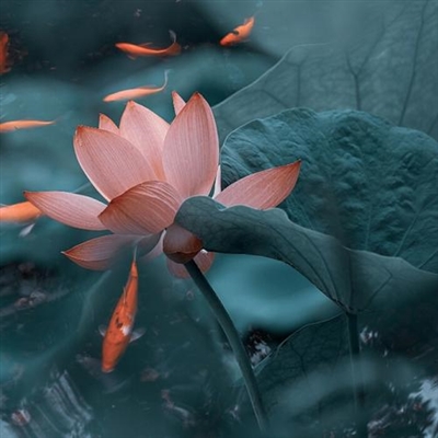 2023新款好看的头像(24张)