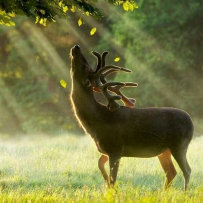 2023新款好看的头像(24张)