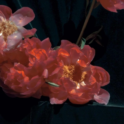 抖音图片最火头像风景(精选34张)