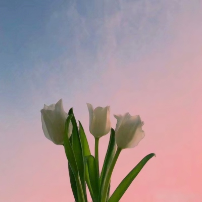 抖音图片最火头像风景(精选34张)