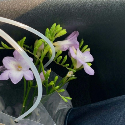 抖音图片最火头像风景(精选34张)