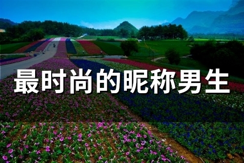 最时尚的昵称男生(精选94个)