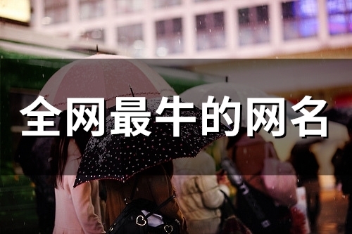 全网最牛的网名(98个)