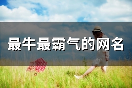 最牛最霸气的网名(97个)