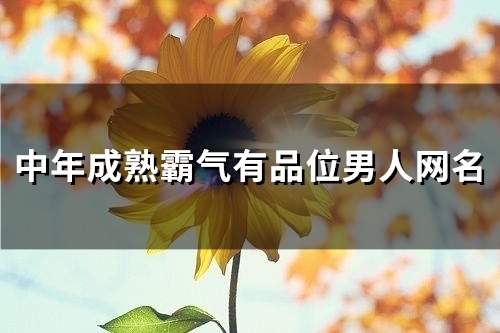 中年成熟霸气有品位男人网名(110个)