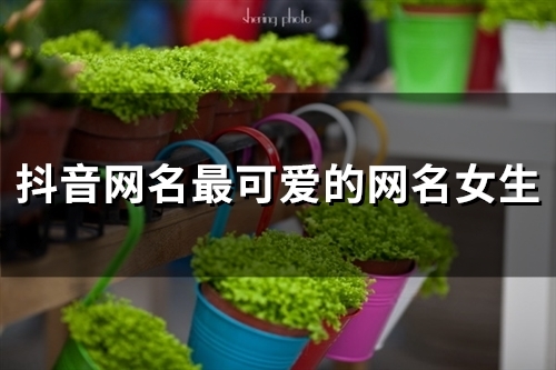 抖音网名最可爱的网名女生(131个)